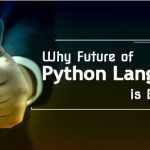 Python Language is popular and important for the success of Developer | Blurbgeek