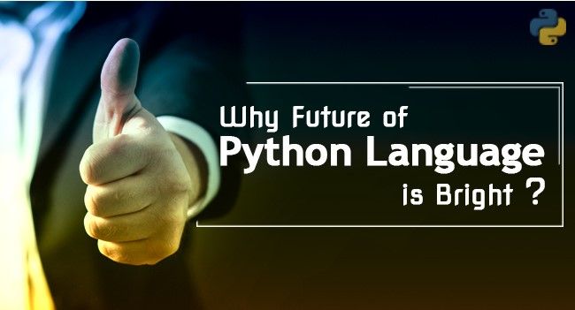 Why Python Language is important for the success of a Software Developer