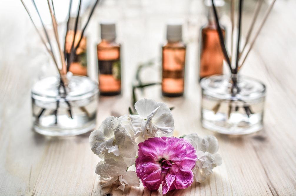 White and Purple flower plant on floor - Stress Relief Activities | Blurbgeek 