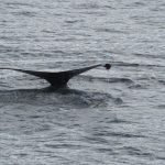 Bering Sea – Russia