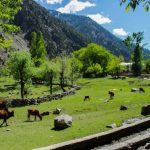 Colors of Chitral – Kalash Valley