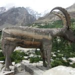 The Dazel Wooden Ibex at Altit Fort – Hunza Valley