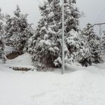 Ziarat in Winter – Paradise on Earth