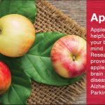 Benefits of Eating Apple Before Exams – Blurbgeek