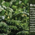 Benefits of Eating Broccoli During Exams – Blurbgeek