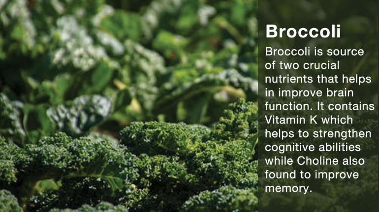 Benefits of Eating Broccoli During Exams - Blurbgeek