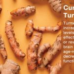 Benefits of Eating Curry or Turmeric For Exams – Blurbgeek