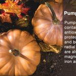 Benefits of Eating Pumpkin Seeds in Examination – Blurbgeek