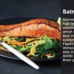 Benefits of Eating Salmon Fish For Strong Brain – Blurbgeek