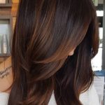Dark Copper Highlight Hairstyle