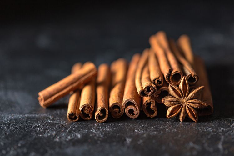 Cinnamon can be used as an excellent ant repellent- Blurbgeek
