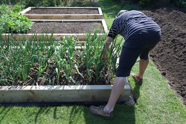 Gardening is good for mental health | Blurbgeek