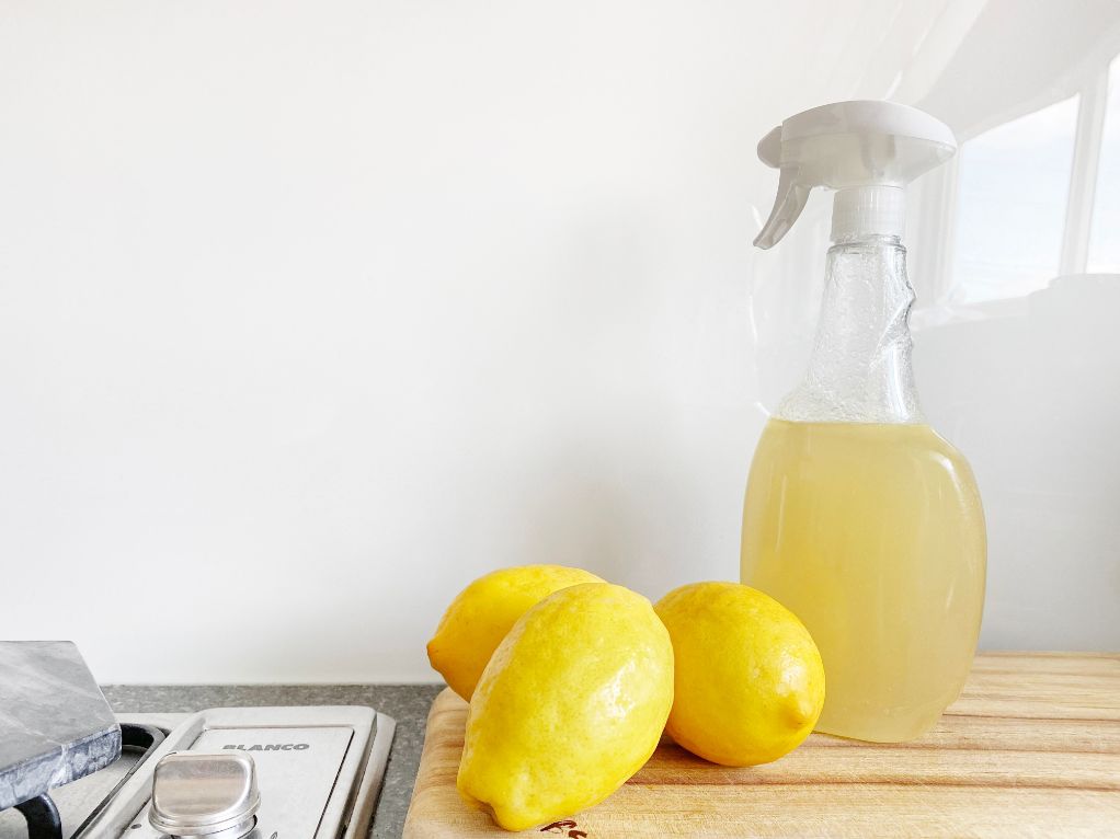 Juices and peels of citrus fruits such as lemon can be used to eradicate the ants from home- Blurbgeek