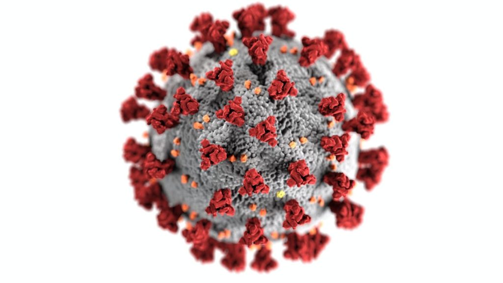 Corona virus Pandemic | Blurbgeek